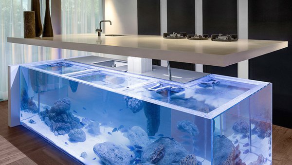 kücheninsel-idee-aquarium.jpg