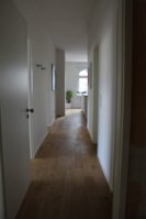 IMG_6799 (Large).jpg