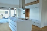 last-unicorn pocket door.JPG