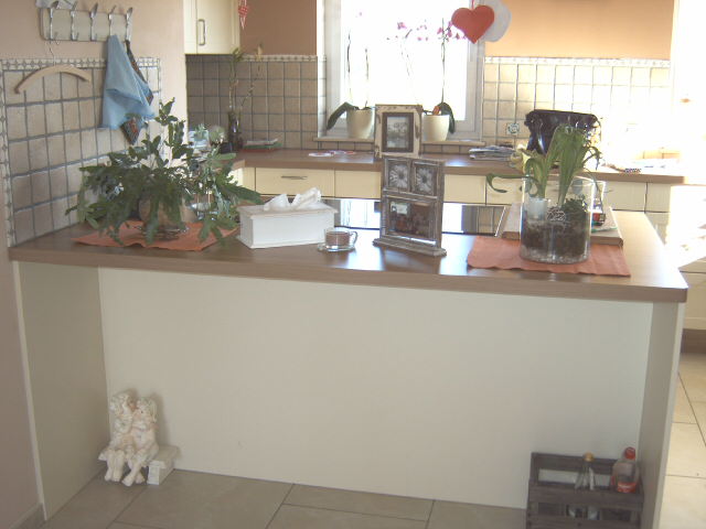 küche 2011 001